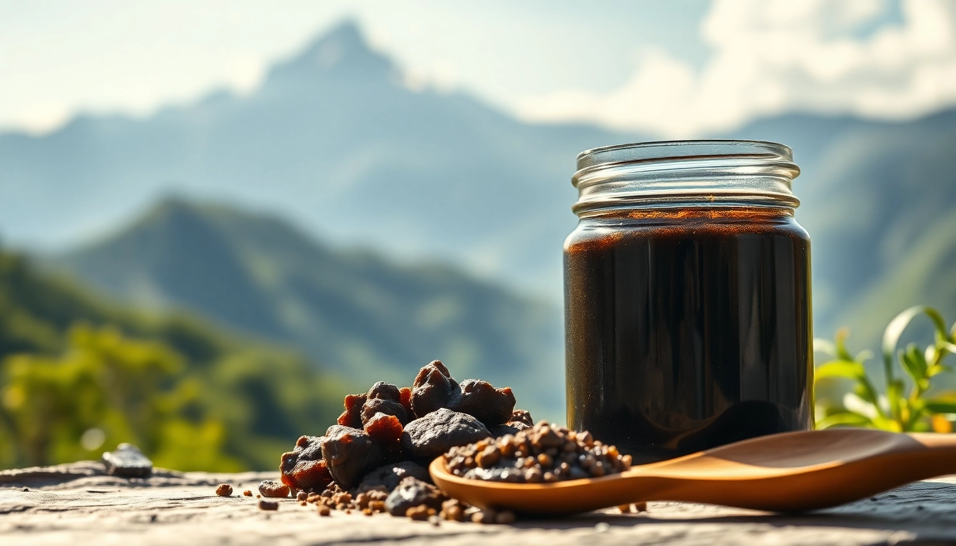 Buy Shilajit In Melbourne with high-quality resin displayed in a natural Himalayan setting.